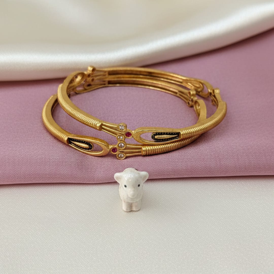 Dailywear Rupali Matt Bangle