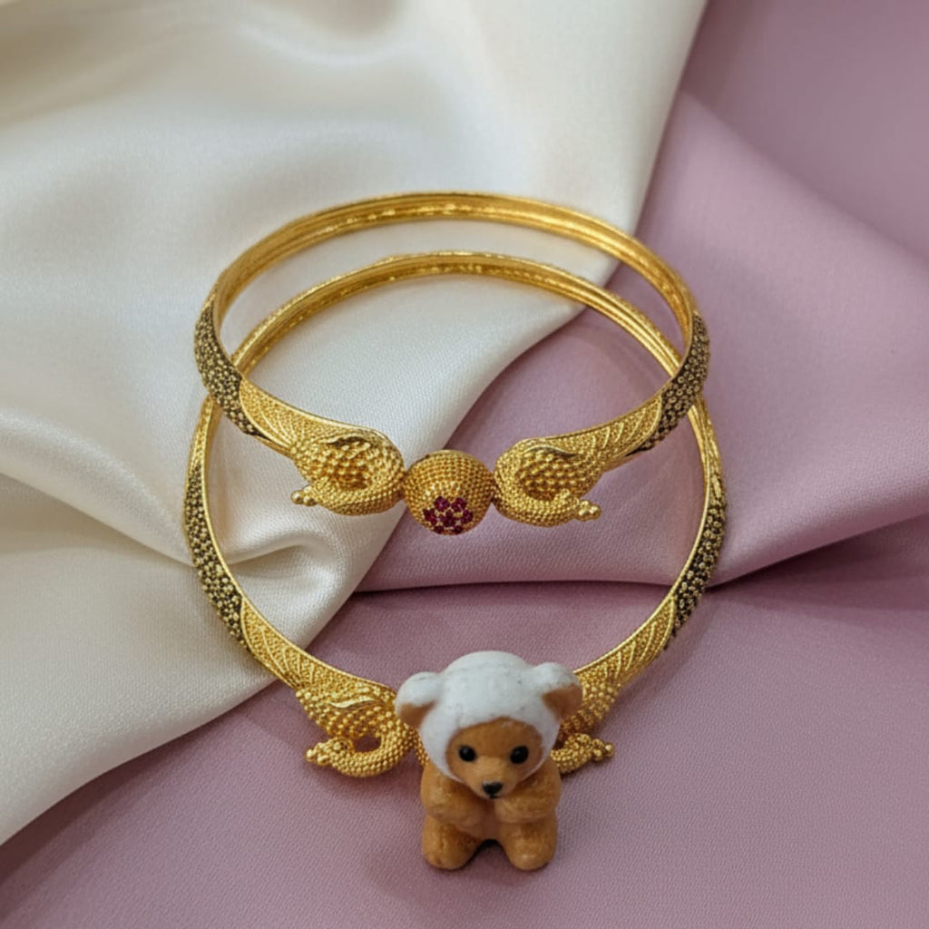 Chic Matte Daily Wear Jaishree Bangles Set