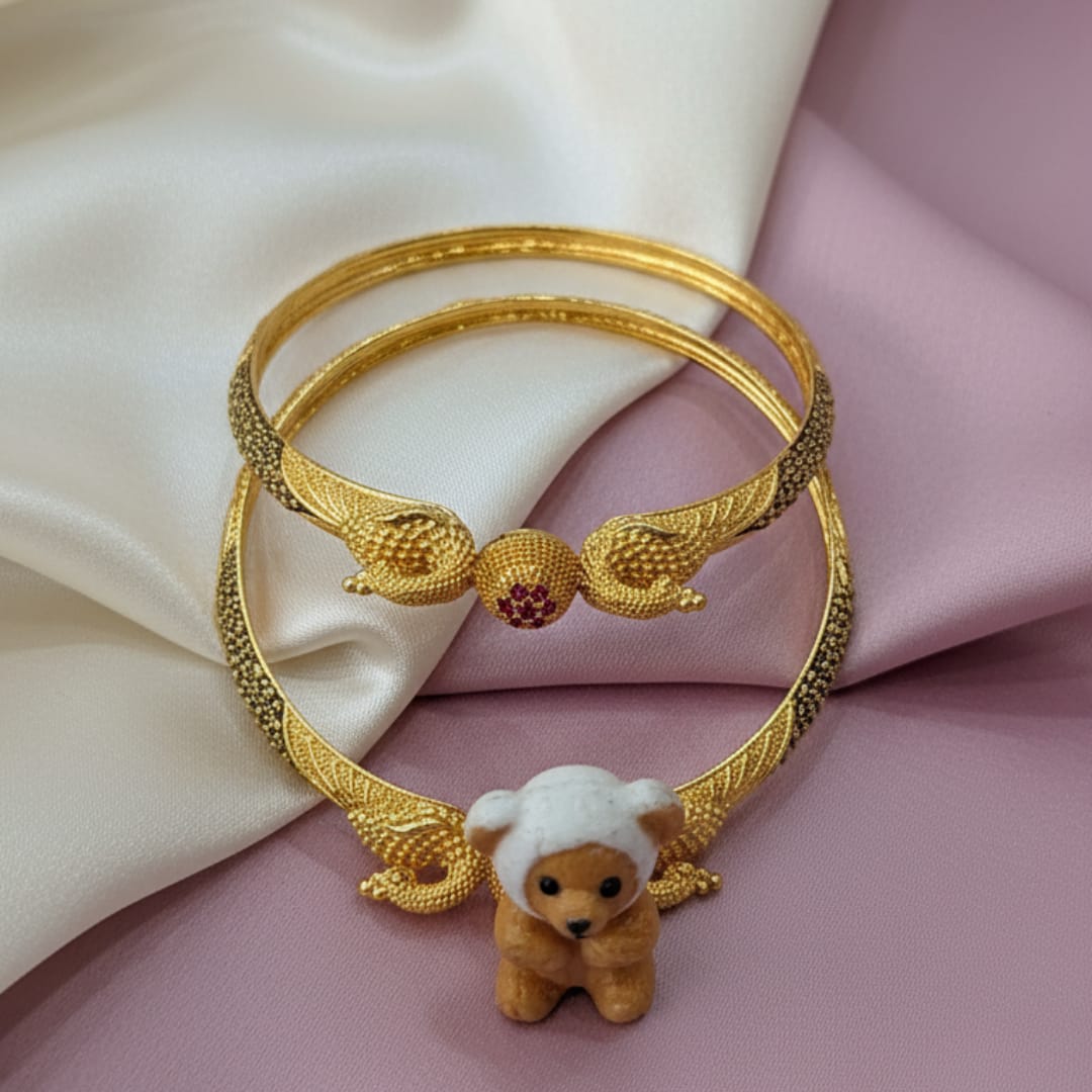 Chic Matte Daily Wear Jaishree Bangles Set