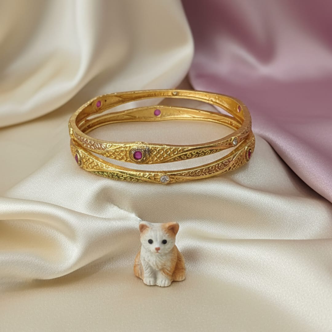 Daily Wear Matte Ethnic Kanika Bangle Set