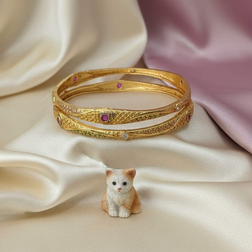 Daily Wear Matte Ethnic Kanika Bangle Set