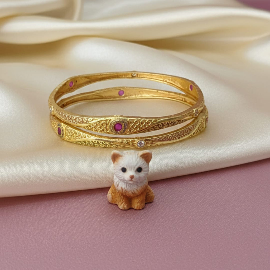 Daily Wear Matte Ethnic Kanika Bangle Set