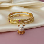 Daily Wear Matte Ethnic Kanika Bangle Set