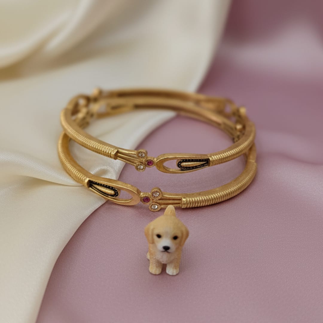 Dailywear Rupali Matt Bangle