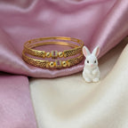 Dailywear Matt Shabnam Bangles