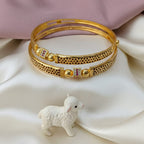 Dailywear Matt Shabnam Bangles