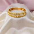 Luxury Matte Daily Wear Bangle Set