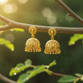 Micro Gold Plate-d Jhumka Earrings