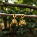 Royal Micro Plated Jhumka Earrings