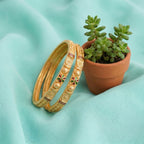 Dailywear Shanti Matt Bangle